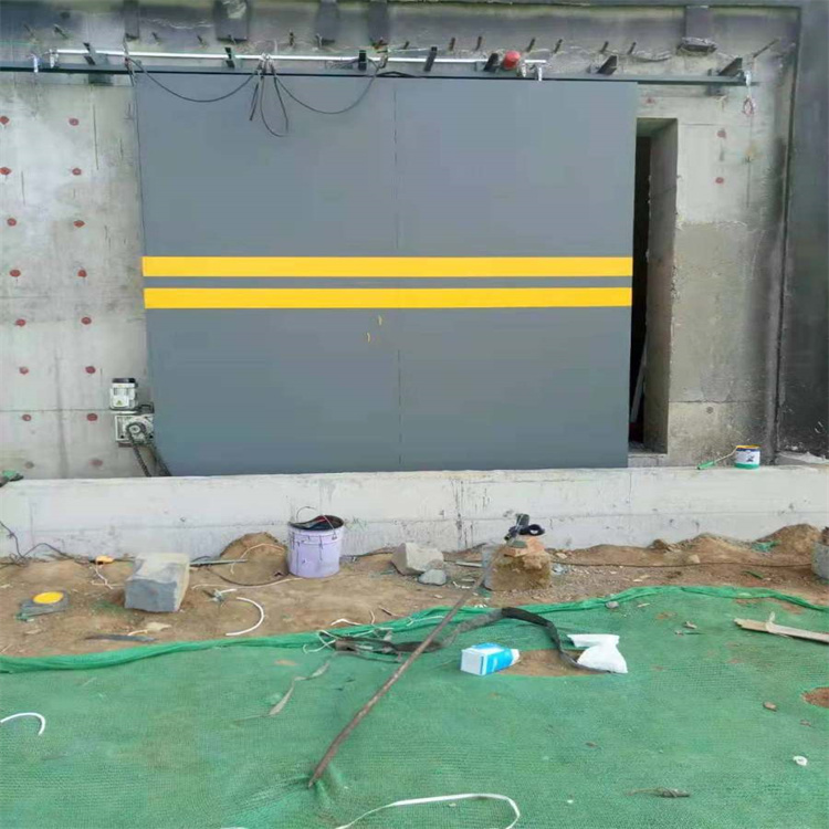 临沧济南探伤铅门