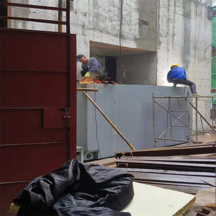 临沧聊城阳谷铅门生产厂家:高强度铅门的应用